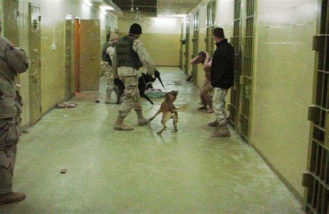 Il Processo di Abu Ghraib: Un momento oscuro nella storia recente del coinvolgimento tedesco nelle missioni internazionali