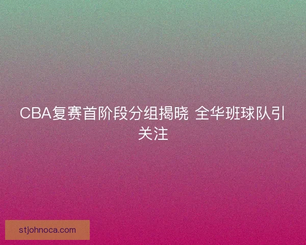 CBA复赛首阶段分组揭晓 全华班球队引关注