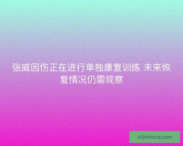 张威因伤正在进行单独康复训练 未来恢复情况仍需观察
