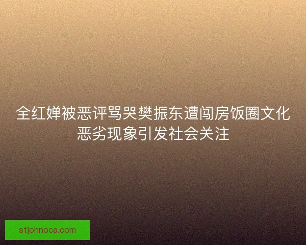 全红婵被恶评骂哭樊振东遭闯房饭圈文化恶劣现象引发社会关注