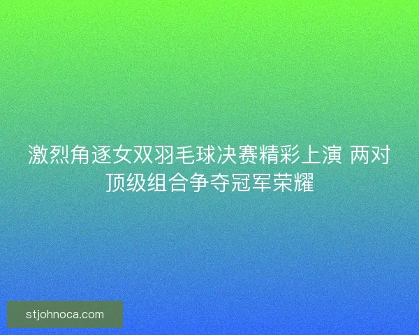 激烈角逐女双羽毛球决赛精彩上演 两对顶级组合争夺冠军荣耀