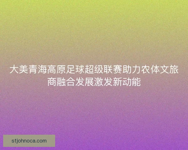 大美青海高原足球超级联赛助力农体文旅商融合发展激发新动能